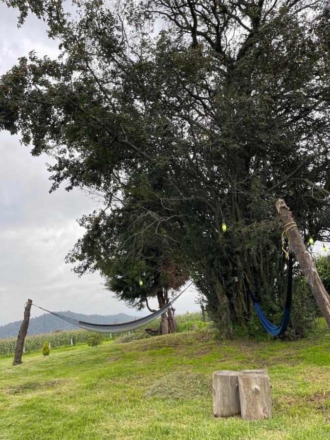 Floresta Casa De Campo Amecameca Luaran gambar
